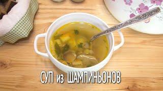 Суп из ШАМПИНЬОНОВ / Вкусный и СЫТНЫЙ Суп БЕЗ МЯСА из КОНСЕРВИРОВАННЫХ Шампиньонов / Экономное меню.