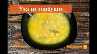 Уха из горбуши - рецепт от EdaNyam