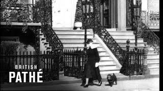 Poodle Pushers! (1940)