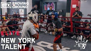 OTX PROVING GROUND! MASSIVE Sparring Event With TOP New York Boxers!