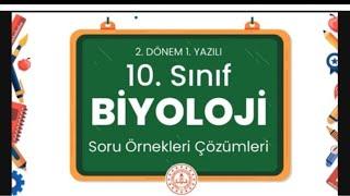 10 Biyoloji 2.dönem1.yazılı hazırlık soruçözüm MEB Maarif modelgöre çalış 100 al