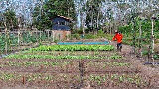 BAJU KEBUN
