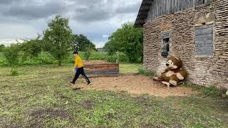 История одного медведя | В ОКРЕСТНОСТЯХ ПЕЧОР