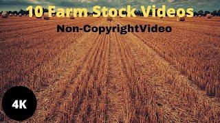 Top 10 Free Farm Stock Videos | Royalty-Free Videos | Non-Copyright Videos | HD Videos | 4K Video