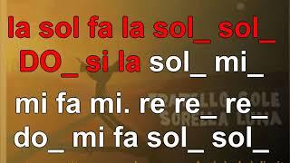 Fratello sole sorella luna - karaoke notazionale (FACILE)