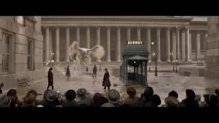 Fantastic Beasts and Where to Find Them - TV Spot 1