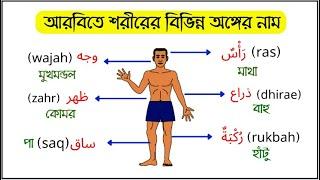 আরবিতে শরীরের বিভিন্ন অঙ্গের নাম - Body Parts Name in Arabic - আরবি ভাষা শিক্ষা