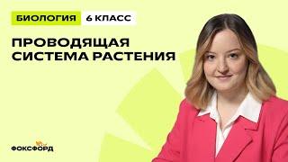 Проводящая система растения | Биология 6 класс | Домашняя школа Фоксфорда