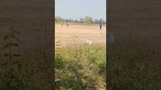 #Cricket#Peddapalli#Shorts