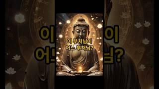 부처님 누구세요? #부처님 #수인 #불교 #마음치유 #행복 #긍정적 #자기계발 #명언 #명상하는법 #힐링 #마음공부 #명상일기 #심리치유 #약사여래 #불교입문