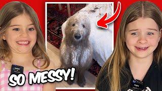 Funny Animals Making HUGE MESSES  (Try Not To Laugh )