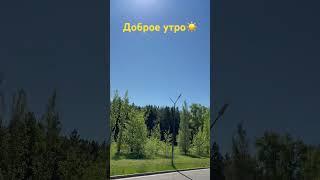 #какпрекрасенэтотмир #доброеутро #мотивациядня #позитив #красота #shorts
