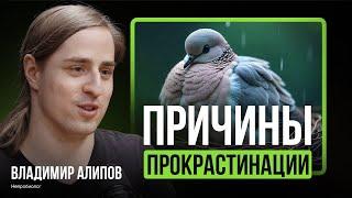 Смещённая активность: ПОЧЕМУ наш МОЗГ делает странные вещи | нейробиолог Владимир Алипов