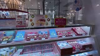Inside Shinagawa Station Tour Sweets, Shopping, & More