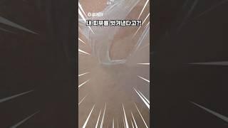 다이소 3천원 랩핑마스크 (품절대란템)