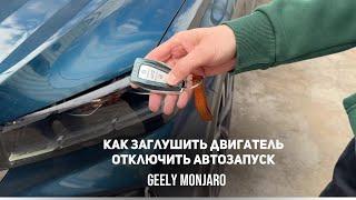 Как отменить автозапуск/как заглушить двигатель если завел с автозапуска Джили Монжаро/Geely Monjaro