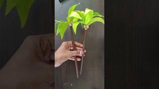 How to make coconut tree #Paper craft #trending #Shorts #Unique