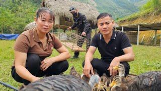 Sabi and single mother surprised when stranger appeared at the farm, ly tu tay