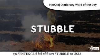 Stubble in Hindi - HinKhoj Dictionary