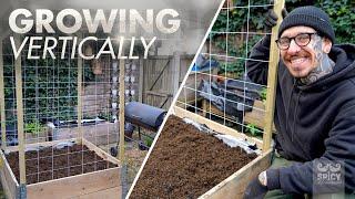 DIY easy and cheap Trellis | Growing Vertically