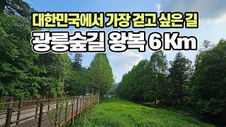 대한민국에서 가장 걷고 싶은 길, 국립수목원 옆 광릉숲길