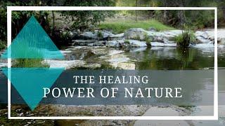 The Healing Power of Nature || Anasazi Foundation