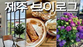 vlog 제주 브이로그 | 제주 감성스테이| 카페, 맛집 다 성공적🪻(땡큐드라이버스테이, 마마롱, 크래커스커피, 메종노트르테르, 유동룡미술관)