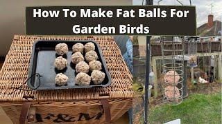 How to make Fat Balls for Garden Birds - Bird Food Recipe