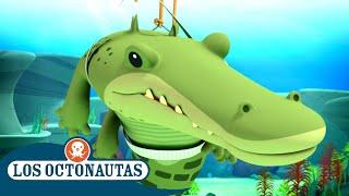 Los Octonautas - El cocodrilo de agua salada | Episodios Completos