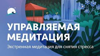 Управляемая медитация | Экстренная медитация для снятия стресса | Уменьшить стресс | BetterSleep