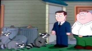 Family Guy Racoon Translator