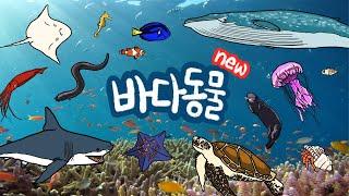 NEW 바다동물 |  바닷속에는 어떤 친구들이 살고 있을까? | 다양한 종류의 바다생물을 만나보아요 | 저자극 유아영상 | 키즈드로우