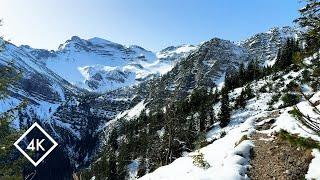 Amazing Snow Hike in Bavaria's Alps 4K - Soothing Virtual Alpine Nature Walk | NaturSpezl.com