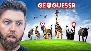 Wildlife Expert Stumped By Animal Geoguessr