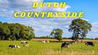 Visiting the Dutch countryside helped me reset, refresh & relax