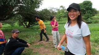CAN FOREIGNER OWNED LAND IN THE PHILIPPINES ?? FOREIGNER WALKING THE MANGO FARM IN THE PHILIPPINES