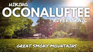 HIKING OCONALUFTEE RIVER TRAIL 4K | GREAT SMOKY MOUNTAINS NATIONAL PARK