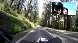 Harley Davidson Ride Dandenong Ranges Tour Melbourne