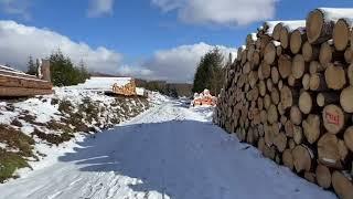 Winterwanderung im Harz rund um Hohegeiß mit 4 Stempelstellen der Harzer Wandernadel