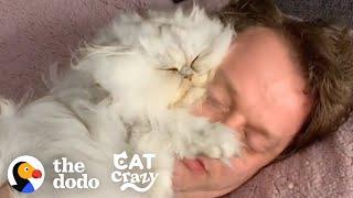 Guy Tucks His Cat Into His Own Little Bed Every Night | The Dodo Cat Crazy