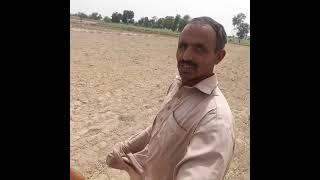 Chak 4 /MR Multan, A village of Punjab and farmers related issues