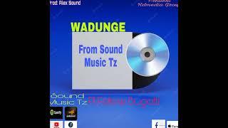 Sounds Music Tz Ft Follow Bugatti (official audio)