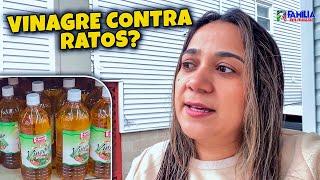 Será que Funciona Mesmo Vinagre Contra Ratos??