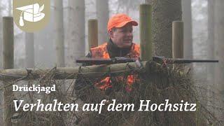 Drückjagd | Tipps zum Verhalten auf dem Stand | Bewegungsjagd | Jagderfolg | Jungjäger | Sicherheit