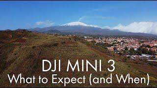 Dji Mini 3 Latest News / What to Expect (and When)