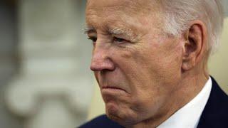 Black voters ‘to blame’ Joe Biden for their ‘economic distress’