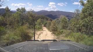 Dingo Creek Track Taylors Creek Dec 3 2022