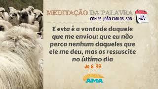 02 de Novembro - Meditação da Palavra do Senhor