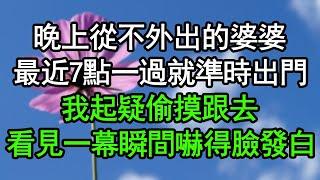 晚上從不外出的婆婆，最近7點一過就準時出門，我起疑偷摸跟去，看見一幕瞬間嚇得臉發白，竟然……#深夜淺讀 #為人處世 #生活經驗 #情感故事