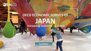 OECD Economic Survey of Japan 2024